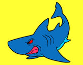 Dibujo Tiburón enfadado pintado por POL_B
