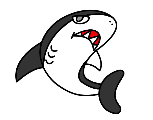 Dibujo Tiburón nadando pintado por erik8
