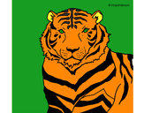Dibujo Tigre 3 pintado por micheel