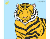 Dibujo Tigre 3 pintado por mikina01