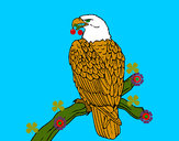 Dibujo Águila en una rama pintado por mary8cruz