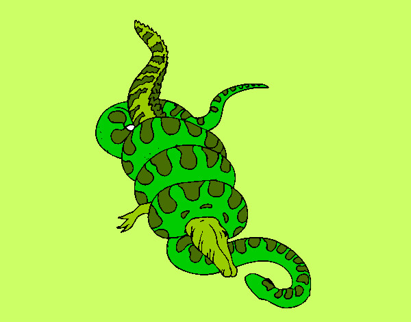 Dibujo Anaconda y caimán pintado por Danneliese