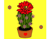 Dibujo Cactus con flor pintado por liz94