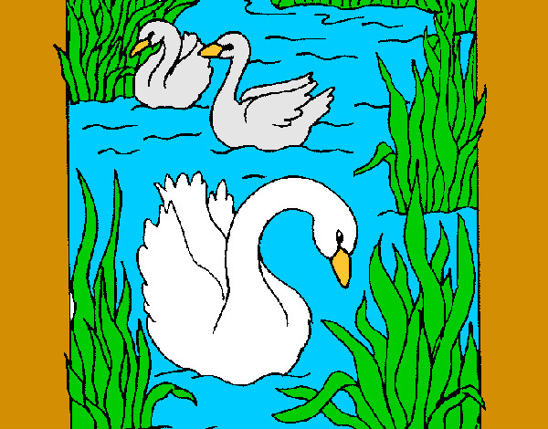 Dibujo Cisnes pintado por Danneliese