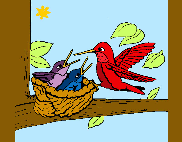Dibujo Familia colibrí pintado por Danneliese