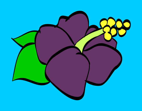 Dibujo Flor de lagunaria pintado por LUZ1387