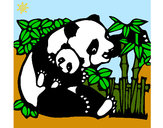 Dibujo Mama panda pintado por Danneliese