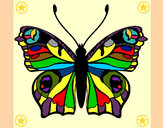Dibujo Mariposa 20 pintado por maimo