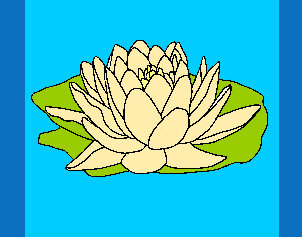 flor del loto
