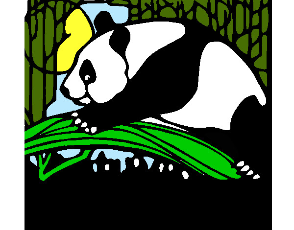 Dibujo Oso panda comiendo pintado por Danneliese