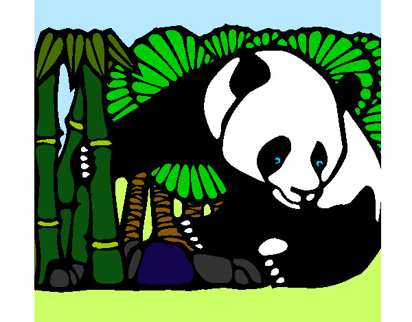 Oso panda y bambú