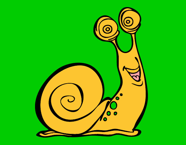 Caracol feliz