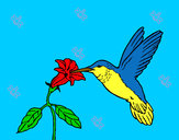 Dibujo Colibrí y una flor pintado por mary8cruz