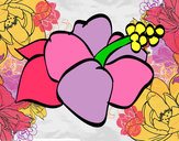 Dibujo Flor de lagunaria pintado por cokilux