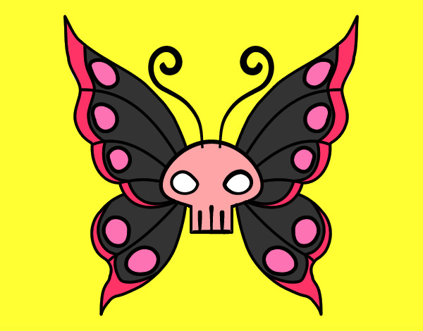 mariposa