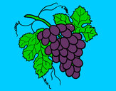 Dibujo Racimo de uvas pintado por mary8cruz