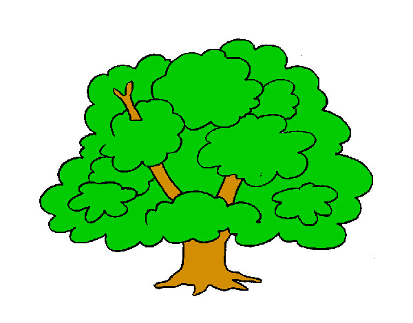 árbol ramitas