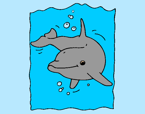 Delfín 2