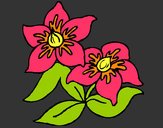 Dibujo Flores 3 pintado por amalia