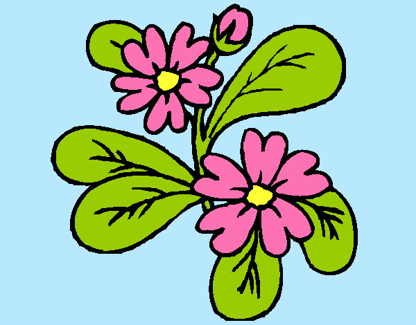 Dibujo de Flores 4a pintado por Amalia en Dibujos.net el día 17-01-13 a ...