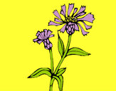 Dibujo Flores de campo 1 pintado por amalia
