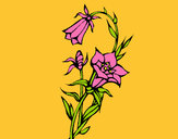 Dibujo Flores silvestres pintado por amalia