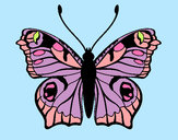 Dibujo Mariposa 20 pintado por GABY141625