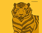 Dibujo Tigre 3 pintado por amalia