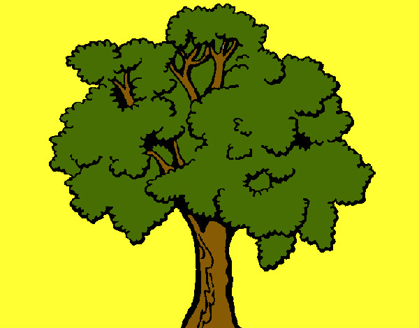 Árbol 1