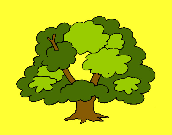 Árbol