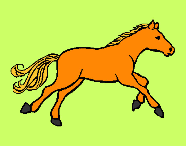 Caballito