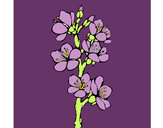 Dibujo Flores de campo pintado por lilima