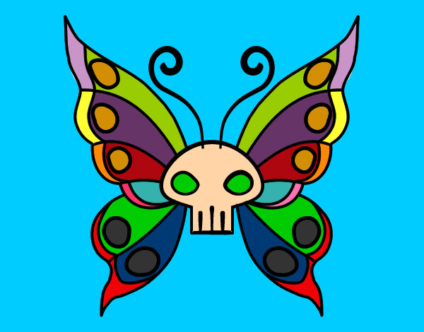 Mariposa lucia