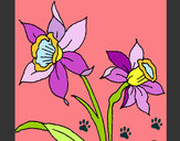 Dibujo Orquídea pintado por tecno