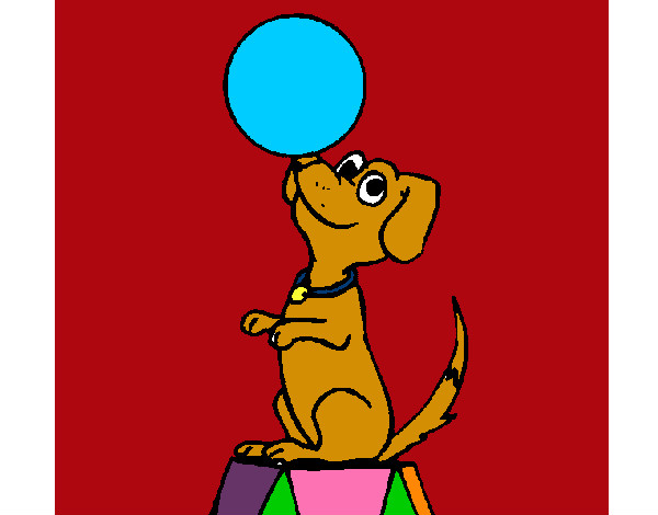 Dibujo Perro de circo pintado por valeyma