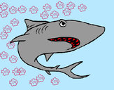 Dibujo Tiburón pintado por andyloko