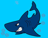 Dibujo Tiburón enfadado pintado por duvas