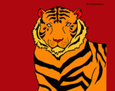Dibujo Tigre 3 pintado por DJgoku