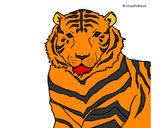 Dibujo Tigre 3 pintado por freddyl