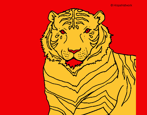 Dibujo Tigre 3 pintado por igael