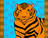Dibujo Tigre 3 pintado por jaiden