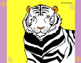 Dibujo Tigre 3 pintado por s1r14