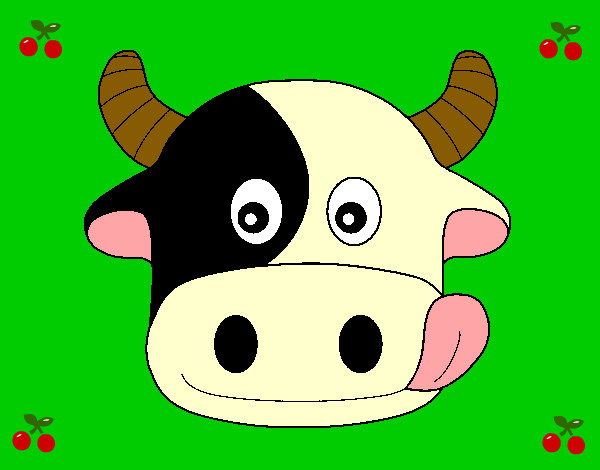 vaca