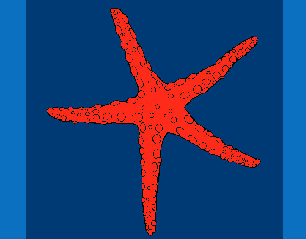 Estrella de mar rojiza