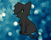 Dibujo Gato con flequillo II pintado por ashfur