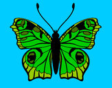 Dibujo Mariposa 20 pintado por NORELVIS