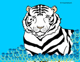 Dibujo Tigre 3 pintado por aketzali