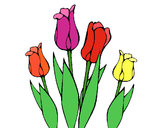 Dibujo Tulipanes pintado por lalo2012