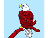 Dibujo Águila en una rama pintado por Jablublu