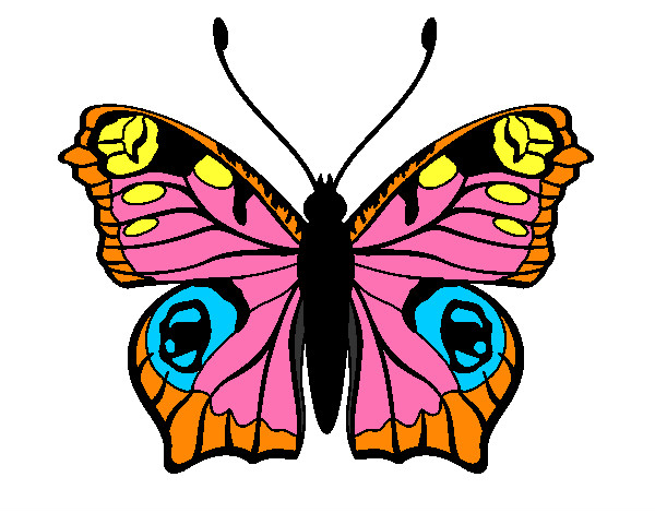 Dibujo Mariposa 20 pintado por wishirley